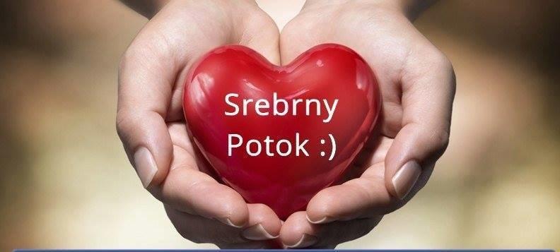مبيت وإفطار لوبافكا Schronisko Srebrny Potok المظهر الخارجي الصورة